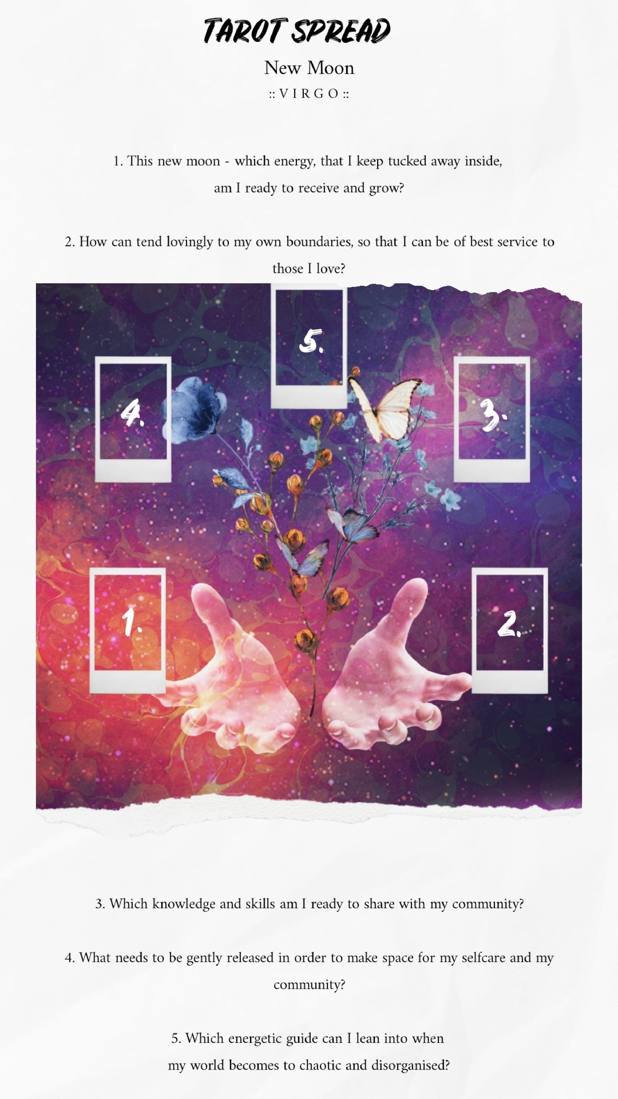 ♍ VIRGO :: SEASON :: WORKBOOK 🌾