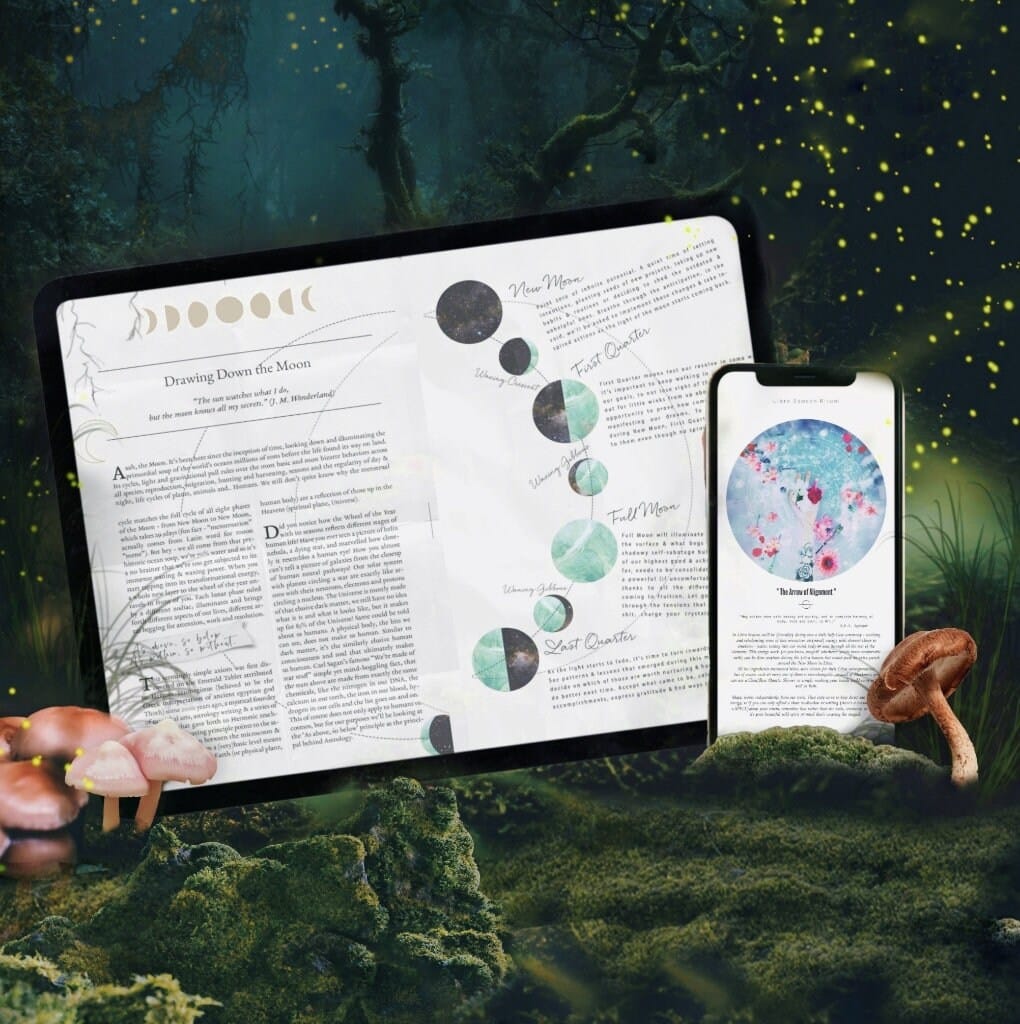 ♎ LIBRA :: SEASON :: WORKBOOK 🌸⚖️