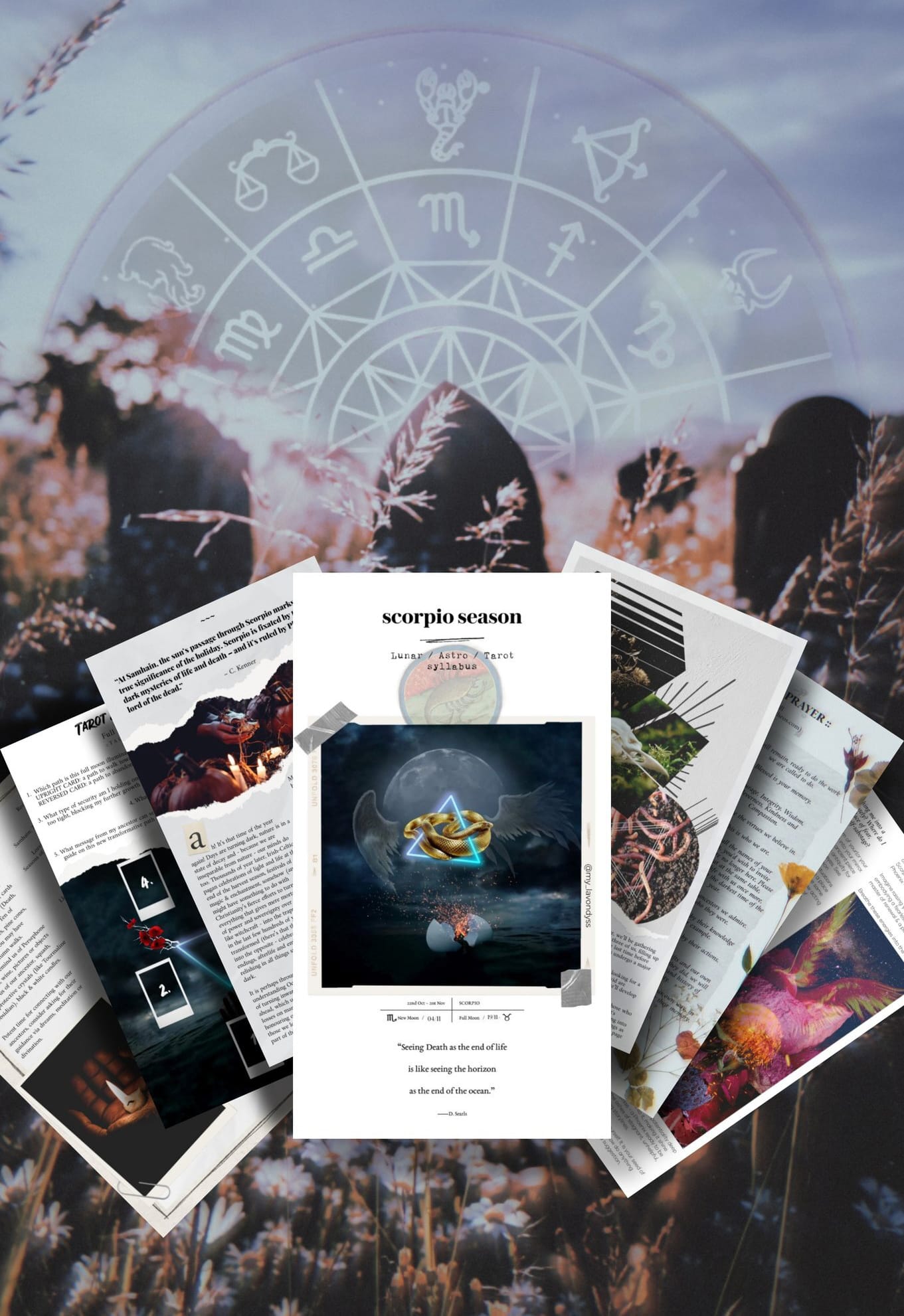 ♏ SCORPIO :: SEASON :: WORKBOOK 🐍🔮