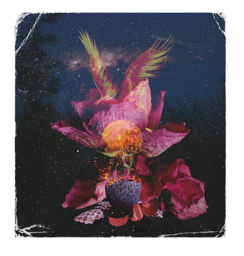 New Moon x Scorpio: A Funeral for Your Bullshit