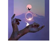 Holy Shit, It’s Over (?)