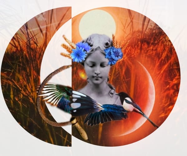 The Shapeshifter & the Weaver: A Guided Meditation for Lunar Eclipse in Virgo