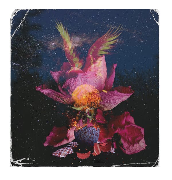 New Moon x Scorpio: A Funeral for Your Bullshit