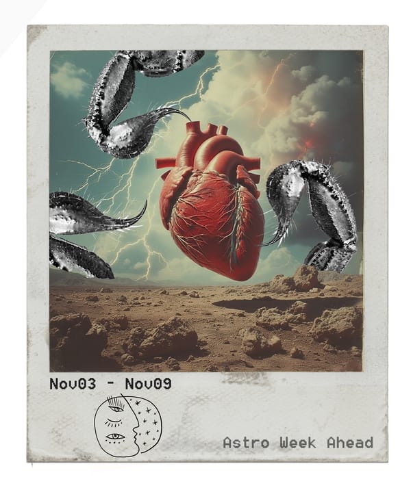 Autopsy of the Chaos