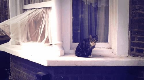 Getting my cool back