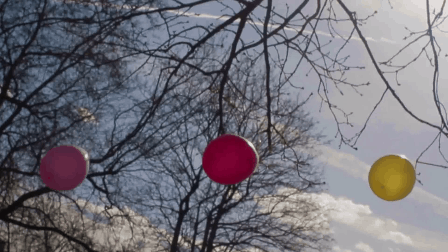 Picnic Season Unleashed