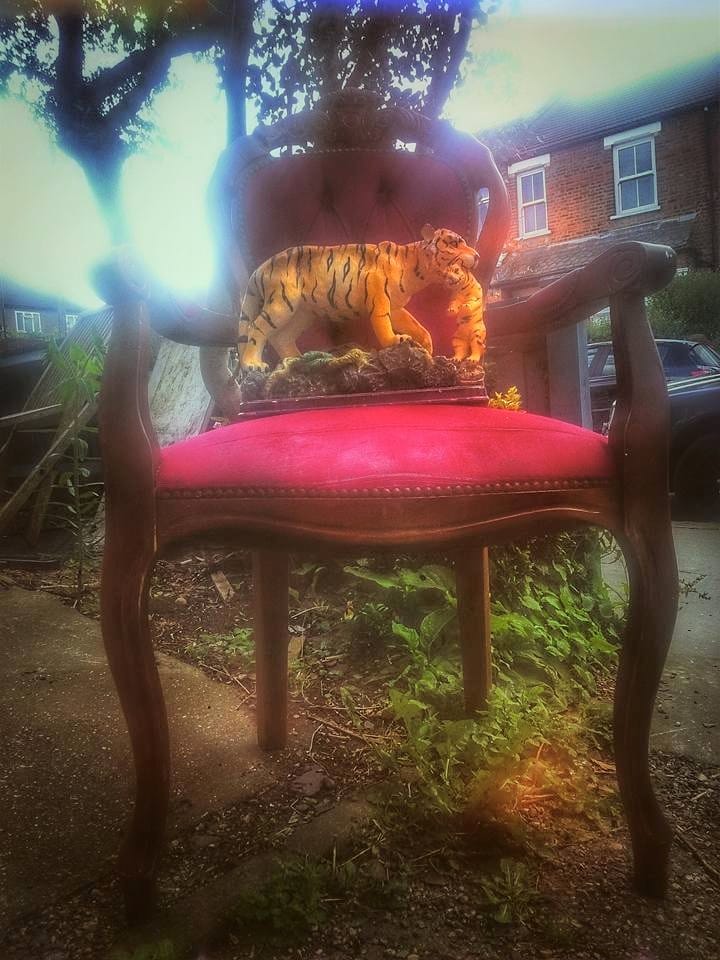 Alex, tigers & evil six year old girls