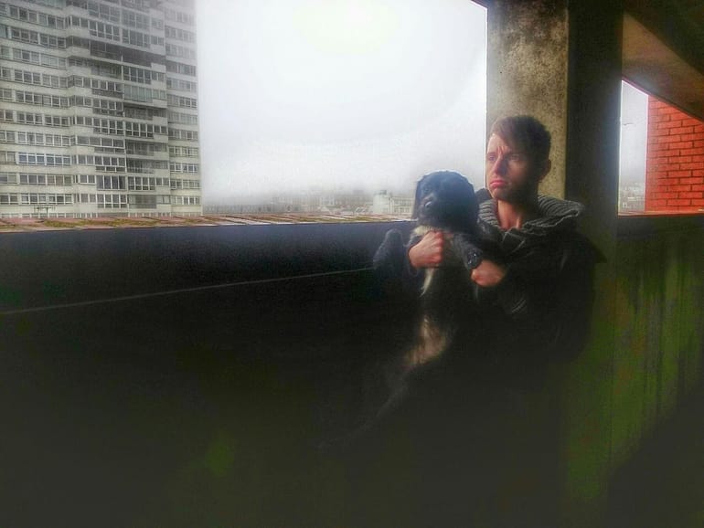 Sexiness and shredded cats