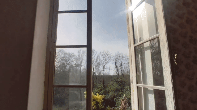 Castle Snapshots / Workaway Diaries