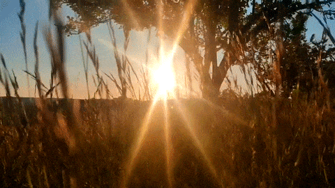 French Avalon / On The Road