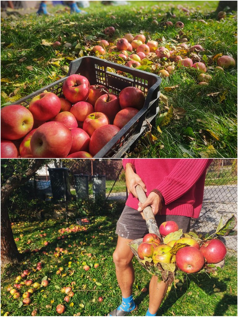Czech Autumn Fairy Tale