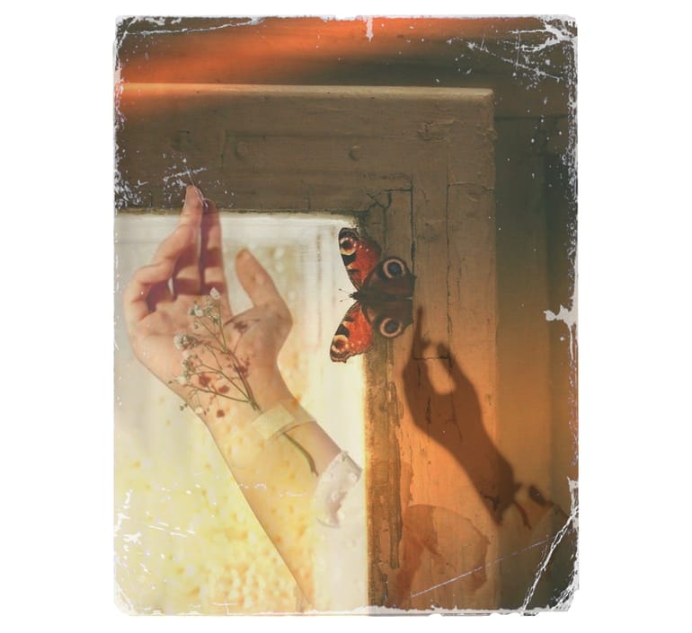 The Dog Star's Honey: A Pocket of Radical Pleasure for August 11th