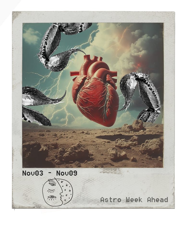 Autopsy of the Chaos