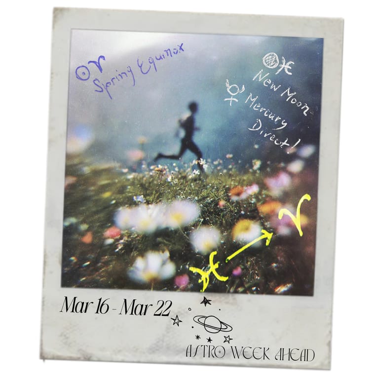 The End Of The Dream, The Beginning Of The Fight